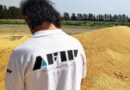 La AFIP incautó 470 toneladas de maíz en Arrecifes