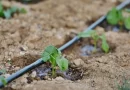 La huerta agroecológica de «Los Gamos» inauguro su sistema de riego automatizado