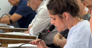 Cecilia Giammaria: “Este es un gobierno que tuvo mucha suerte»