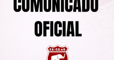 Incidentes en básquet: Defensores de Belgrano repudió lo ocurrido y tomó medidas contra el agresor