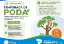 El Municipio de Ramallo estableció el período para la temporada de poda 2026
