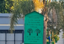 Una casita, árboles nativos y un proyecto vecinal para cuidar la Plaza José María Bustos