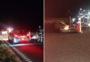 Choque con caballos sueltos en la Ruta 9: dos camionetas involucradas