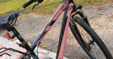 Robaron una bicicleta de una vivienda en Villa Ramallo