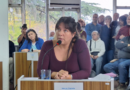 Mesías apuntó contra las fallas técnicas del proyecto y acusó a Iribarria de hacer «marketing político»