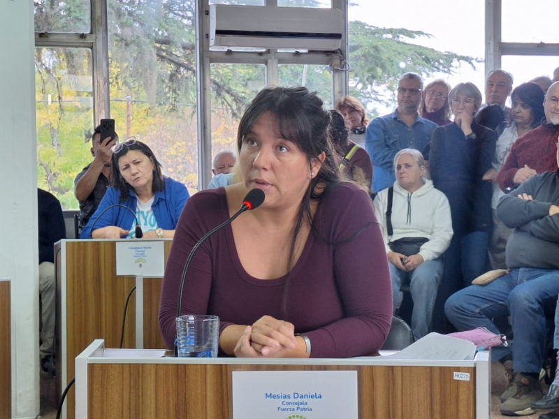 Mesías apuntó contra las fallas técnicas del proyecto y acusó a Iribarria de hacer «marketing político»