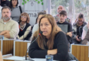 Soledad Agotegaray pidió tratar el proyecto en comisión con datos oficiales