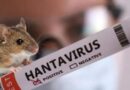 Arrecifes suma un segundo caso de hantavirus en lo que va del año