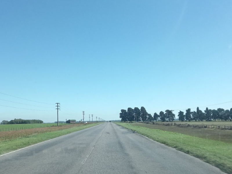 Reclaman a la Provincia la repavimentación urgente del Camino de la Costa