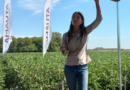 Nadia Bosetti: “Los nutrientes vienen bajando en los suelos y hay que repensar las estrategias de fertilización”