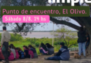 Convocatoria en Ramallo: Jornada de relevamiento y limpieza en el Paseo de los Olivos