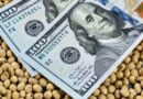 La liquidación de divisas del agro cayó 16% en los primeros siete meses del año