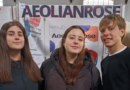 “Aeolian Rose”: el proyecto de la Técnica N° 1 que llegó a la instancia provincial de la Feria de Ciencias