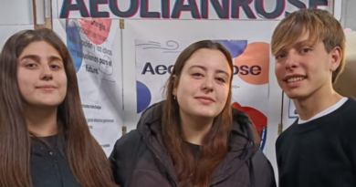 “Aeolian Rose”: el proyecto de la Técnica N° 1 que llegó a la instancia provincial de la Feria de Ciencias