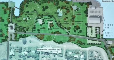 Presentaron el proyecto del “Paseo de los Olivos” y mañana lo trata el Concejo