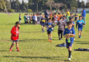 Boca Juniors busca talentos en Villa Ramallo: 350 chicos participan de las pruebas en Los Andes