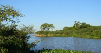 La Suprema Corte dejó firme el histórico fallo ambiental en Ramallo: qué exige la pericia que deberá cumplir Naviera Lojda