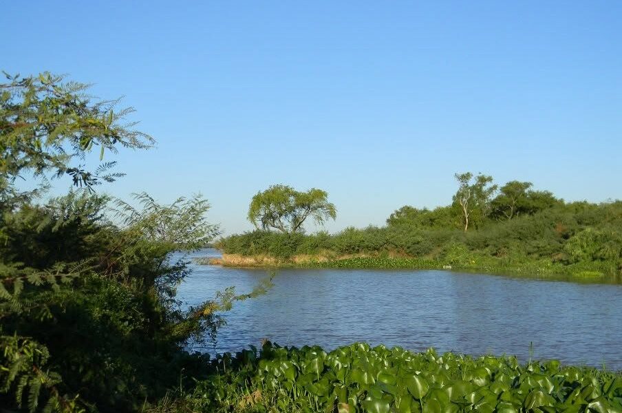 La Suprema Corte dejó firme el histórico fallo ambiental en Ramallo: qué exige la pericia que deberá cumplir Naviera Lojda