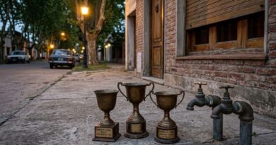 Investigan el hurto de canillas de bronce y trofeos en una vivienda de Ramallo