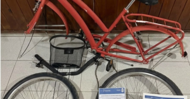 Recuperaron una bicicleta robada que había sido repintada y desarmada