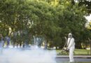 “A medida que va aumentando la temperatura, vamos a tener mayor cantidad de mosquitos”