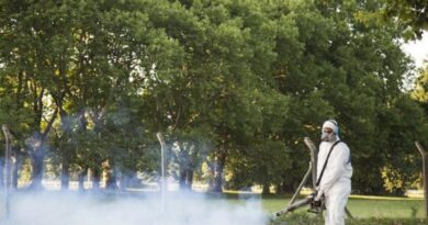 “A medida que va aumentando la temperatura, vamos a tener mayor cantidad de mosquitos”