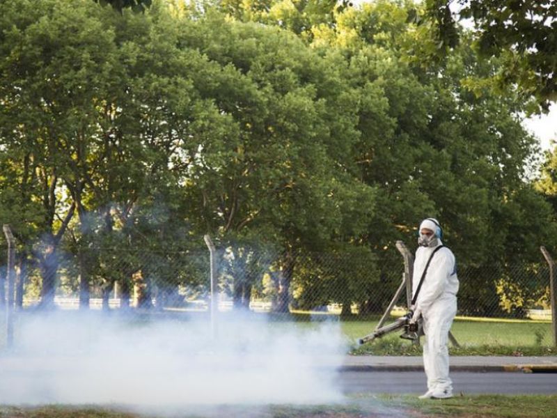 “A medida que va aumentando la temperatura, vamos a tener mayor cantidad de mosquitos”