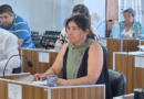 Ramallo: proponen regular el uso de gomeras y armas de aire comprimido