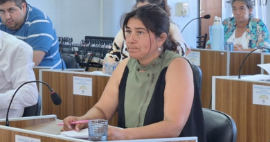 Ramallo: proponen regular el uso de gomeras y armas de aire comprimido
