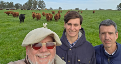 Gabriel Nazar puso en marcha un proyecto de genética bovina para potenciar la ganadería en la región
